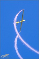 D75_1036